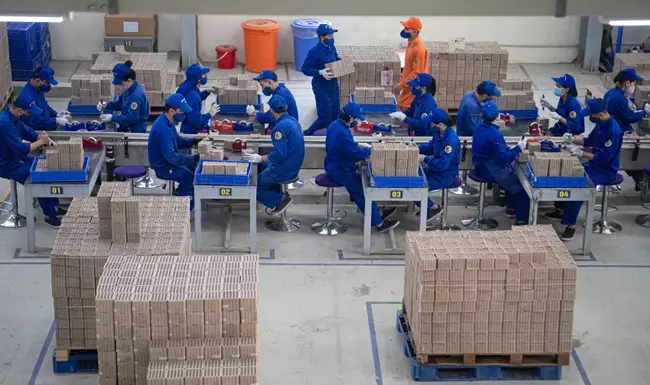 Pháo hoa z121 sản phẩm an toàn từ bộ quốc phòng