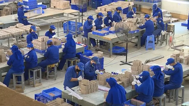 đại lý cung cấp pháo hoa z121