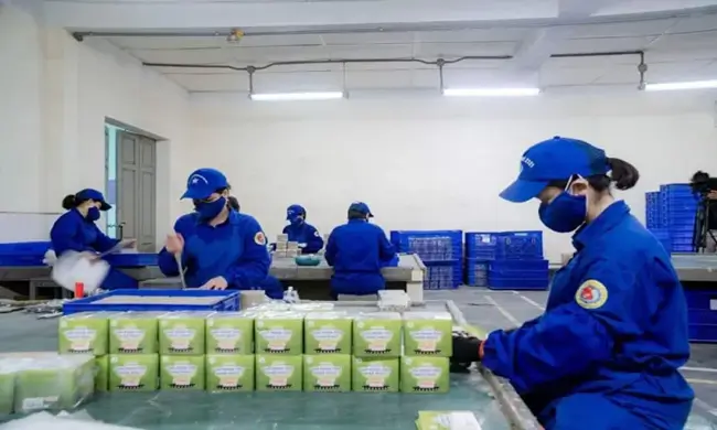 pháo hoa bộ quốc phòng là gì